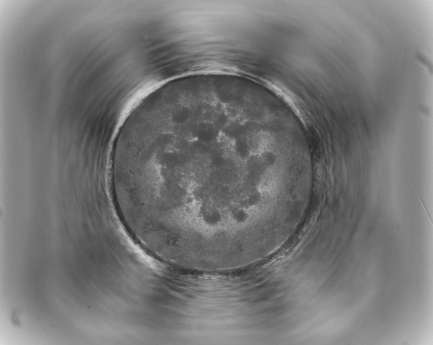 X0000095521379200712281450