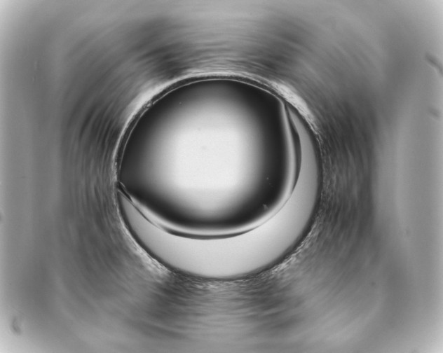 X0000095521380200712281450