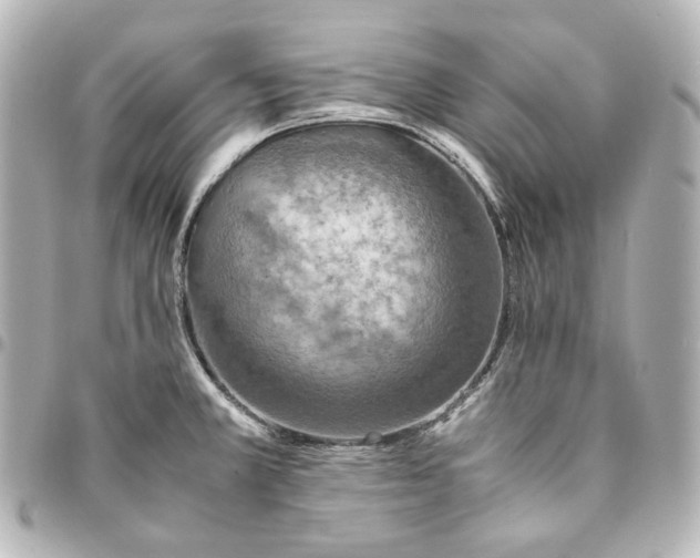 X0000095521381200712281450