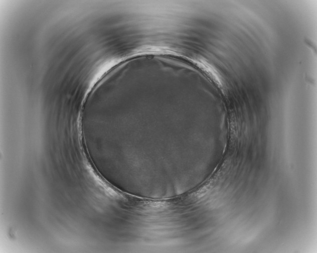 X0000095521382200712281450