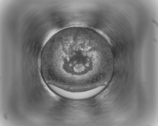 X0000095521383200712281450