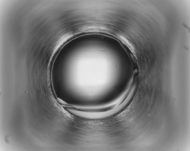 X0000095521384200712281450