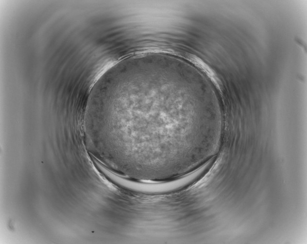 X0000095521385200712281450