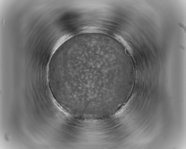 X0000095521386200712281450