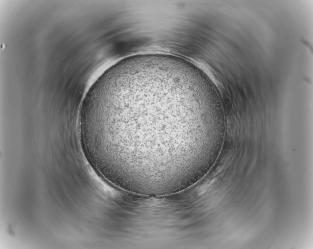 X0000095521387200712281450