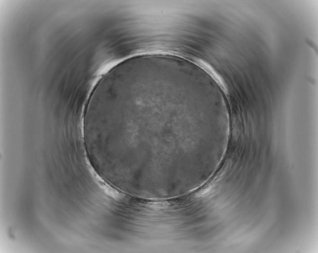 X0000095521388200712281450