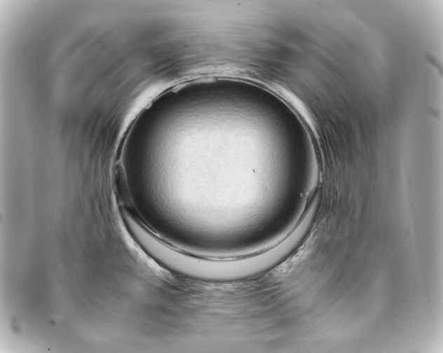 X0000095521389200712281450