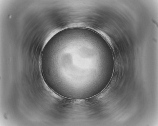 X0000095521390200712281450