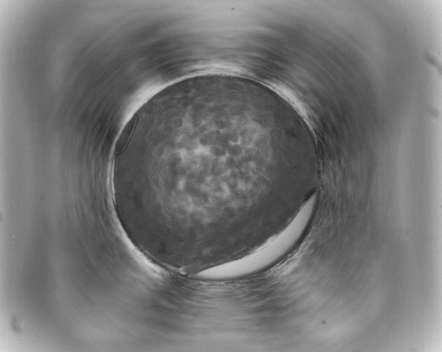 X0000095521391200712281450