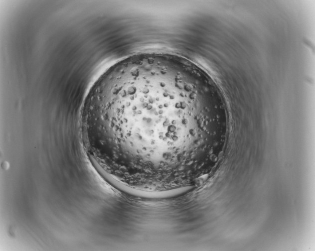 X0000095521392200712281450