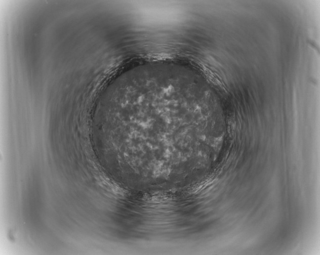 X0000095521393200712281450