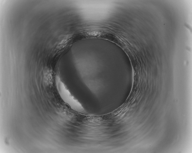 X0000095521394200712281450