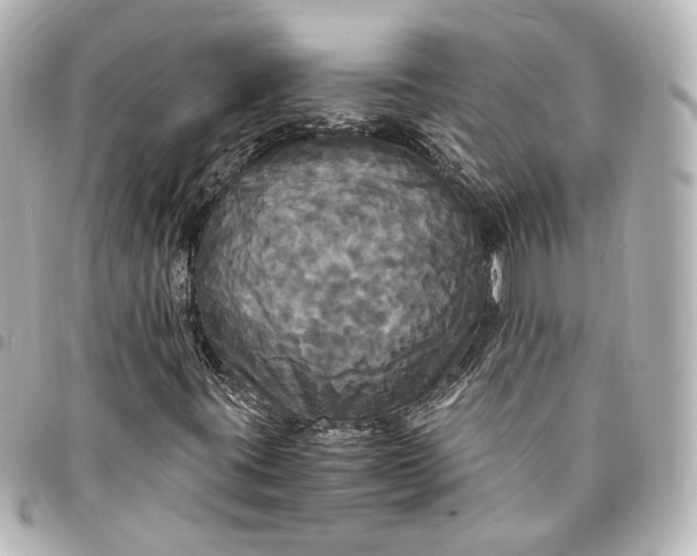 X0000095521395200712281450