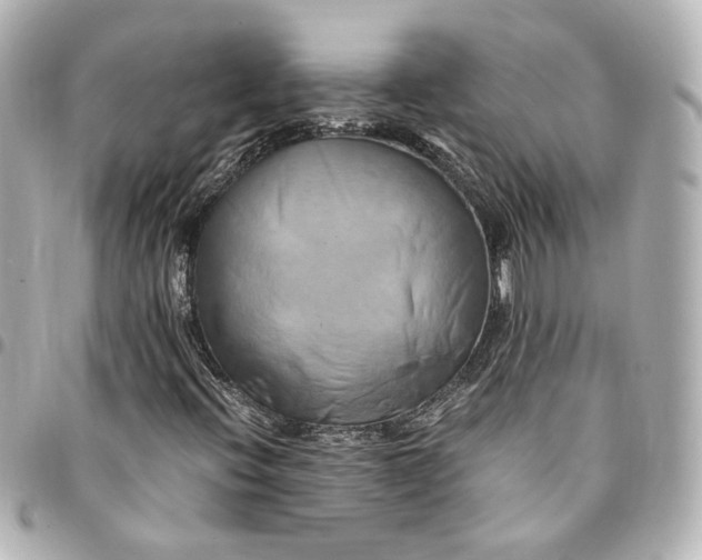 X0000095521396200712281450