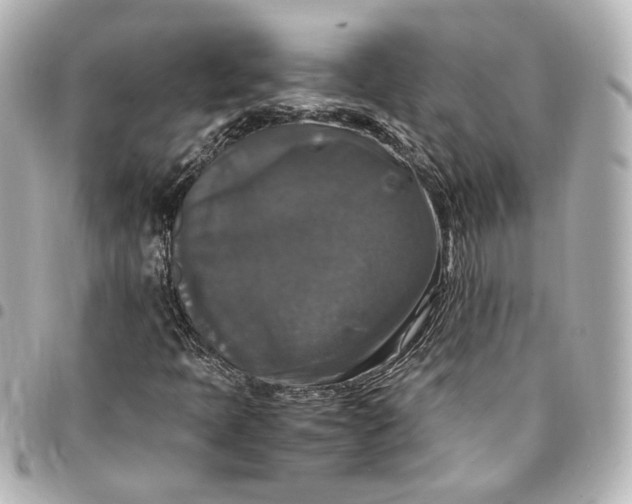 X0000095521397200712281450