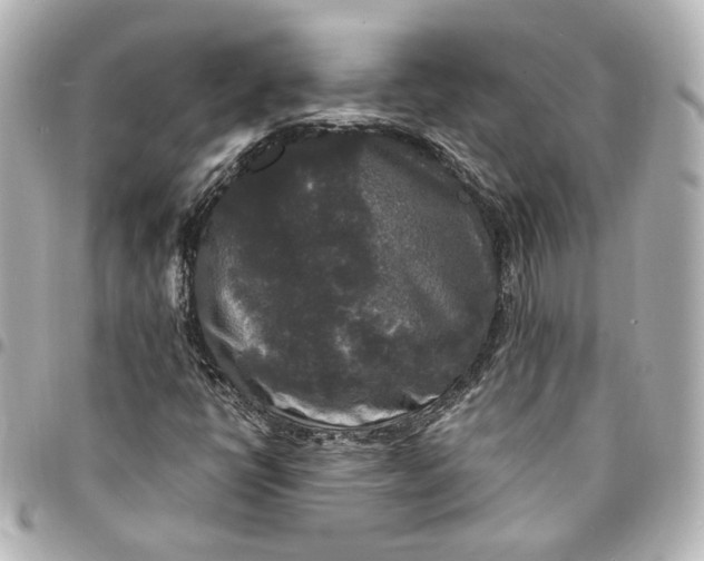 X0000095521398200712281450