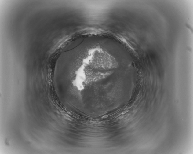 X0000095521399200712281450