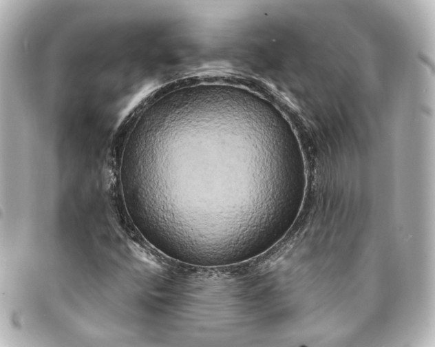 X0000095521400200712281450