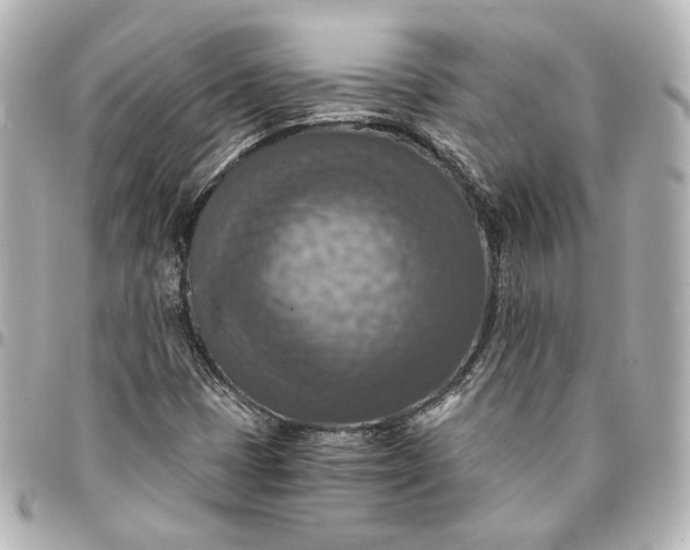 X0000095521401200712281450