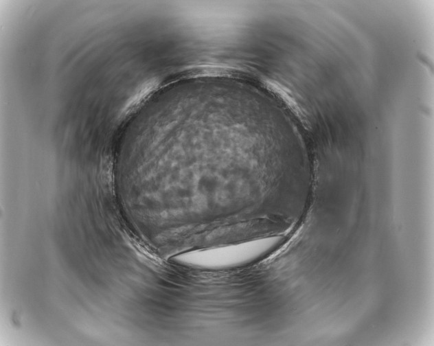 X0000095521403200712281450