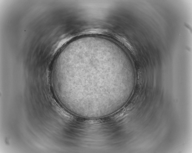 X0000095521404200712281450