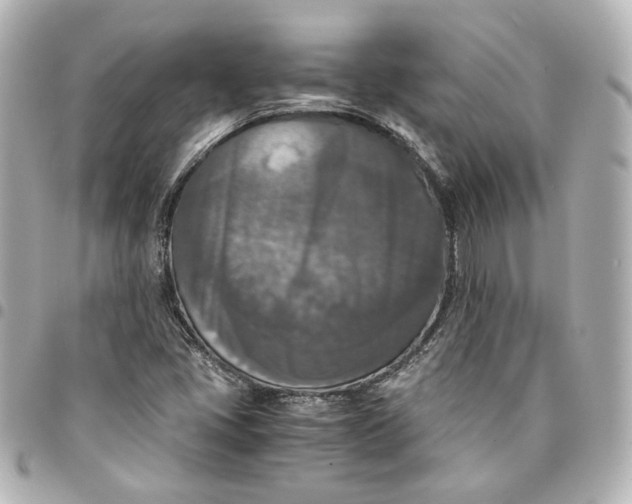 X0000095521405200712281450