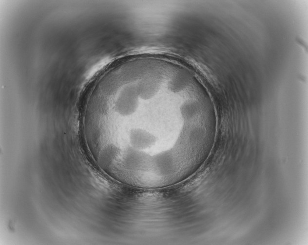 X0000095521406200712281450