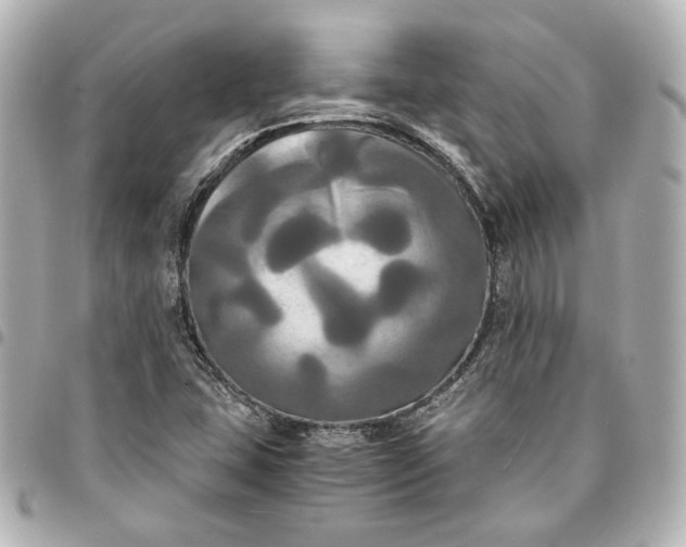 X0000095521407200712281450