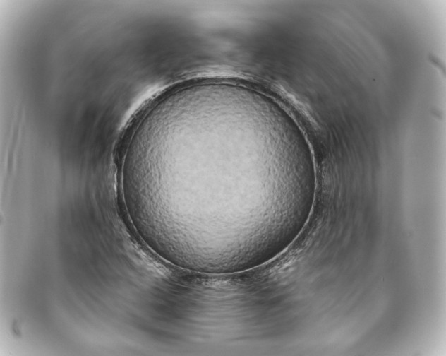 X0000095521408200712281450