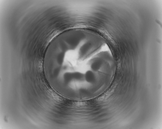 X0000095521409200712281450