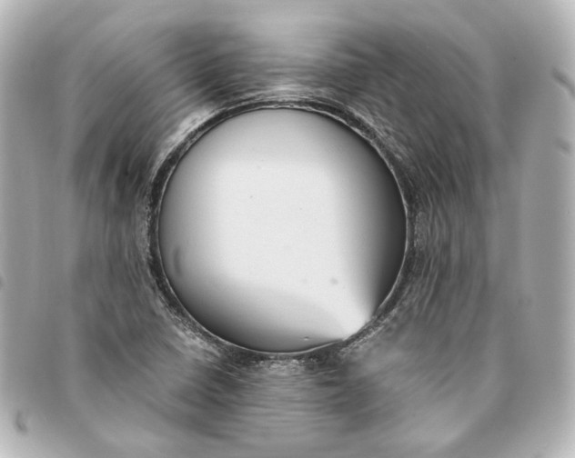 X0000095521410200712281450