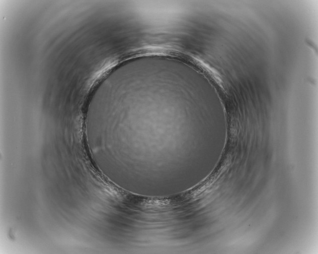 X0000095521411200712281450