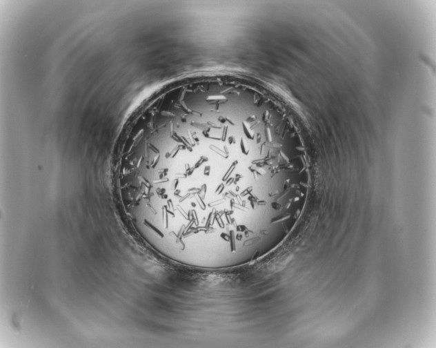 X0000095521412200712281450