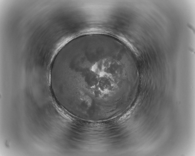 X0000095521413200712281450