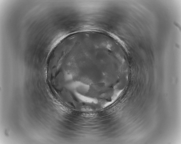 X0000095521415200712281450