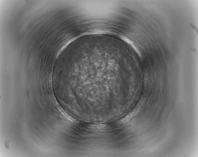 X0000095521417200712281450