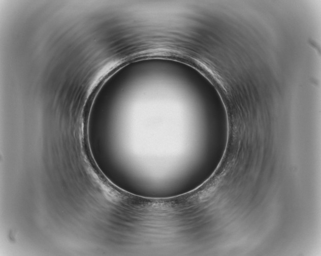 X0000095521418200712281450