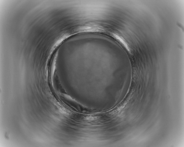 X0000095521419200712281450