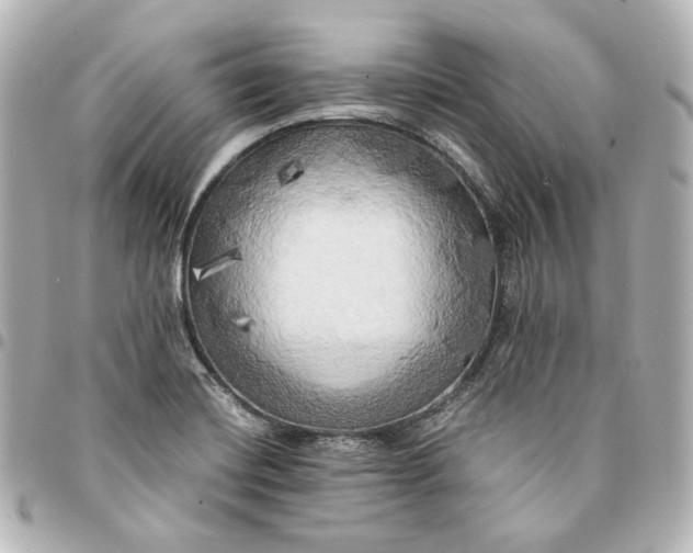 X0000095521420200712281450