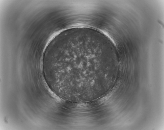 X0000095521421200712281450