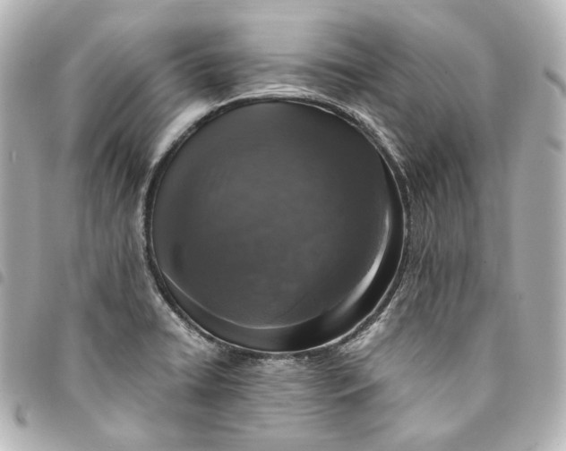 X0000095521422200712281450