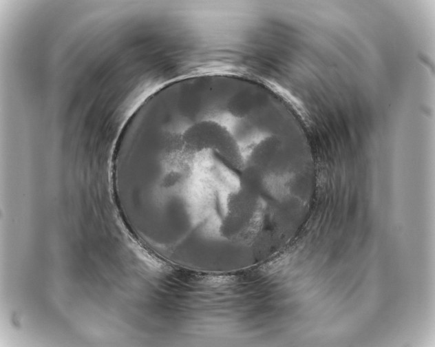 X0000095521423200712281450