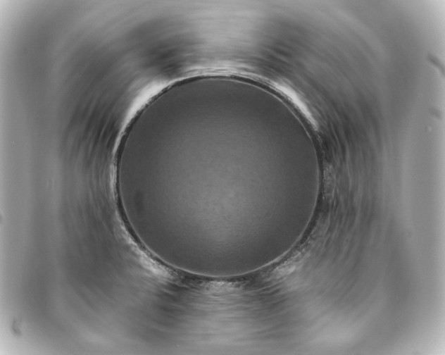 X0000095521424200712281450