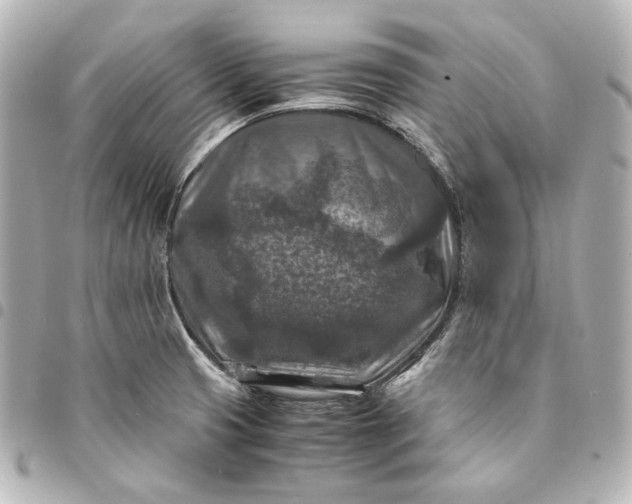 X0000095521425200712281450