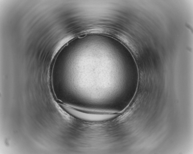 X0000095521426200712281450