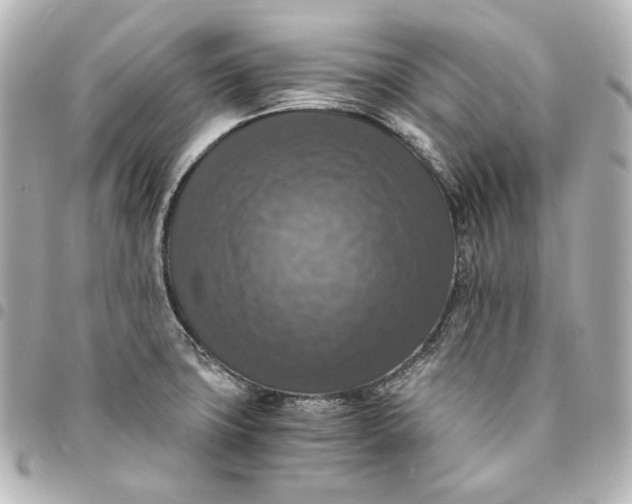 X0000095521427200712281450