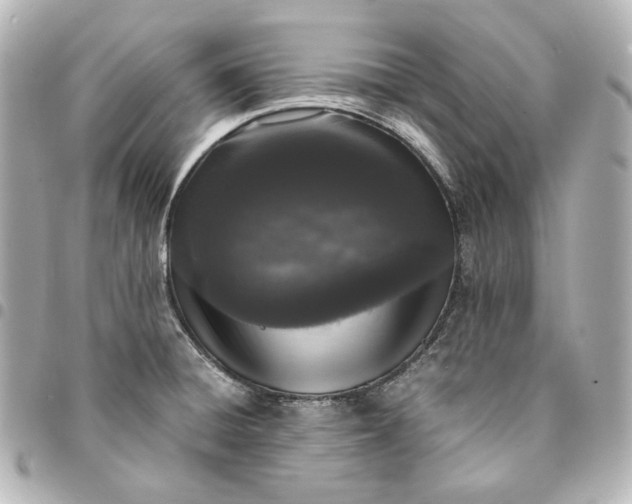 X0000095521428200712281450