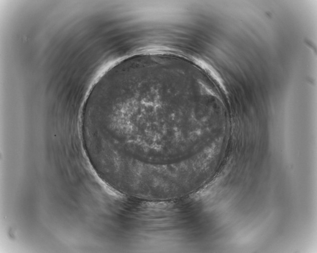 X0000095521429200712281450