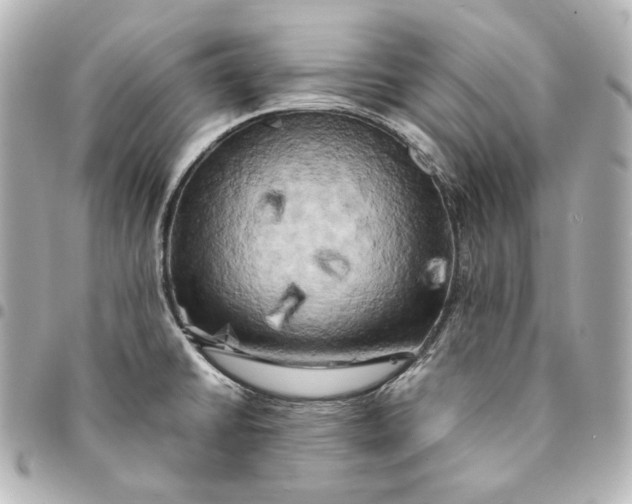 X0000095521430200712281450