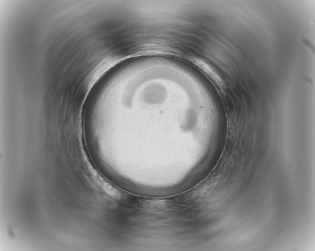 X0000095521431200712281450